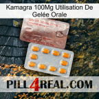Kamagra 100Mg Utilisation De Gelée Orale new13